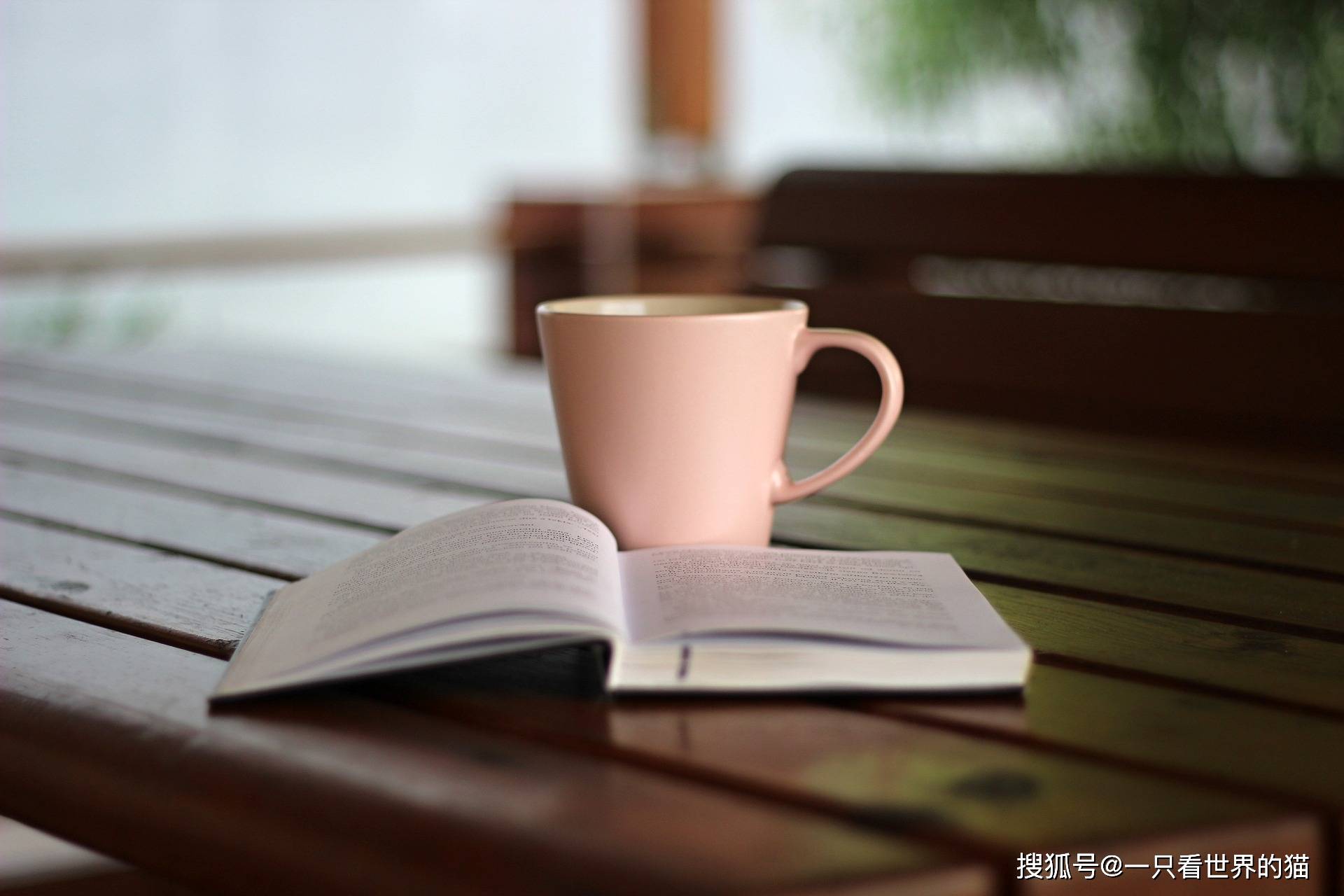 必一运动官网休闲体育是学什么的(图3)