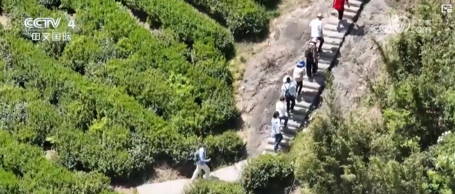 户外运动产业迎规模化发展 必一运动app消费扩容激活新经济增长点(图3)